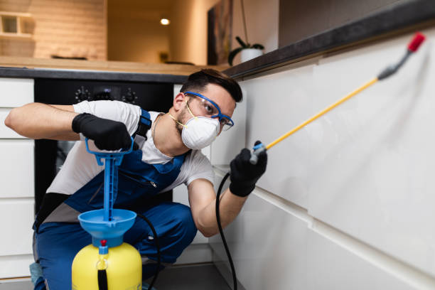 Best Pest Control Near Me  in Erie, PA