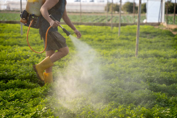 Best Mosquito Control Services  in Erie, PA